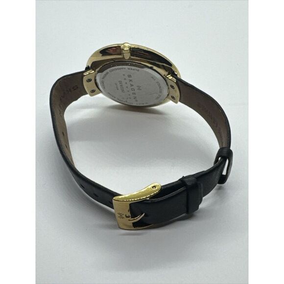 Skagen Ditte SKW2262 Women\'s Black Leather Analog Dial Quartz Wrist Watch JNA986 main image 5